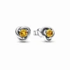 Pandora Honey Eternity Circle Stud Earrings